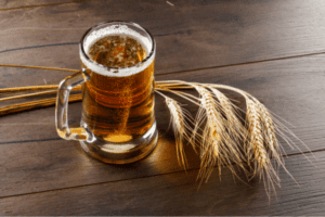 Como reutilizar grãos de cerveja, proteína de cerveja para ganho de massa, cosméticos com proteína de BSG, alimentos plant-based com alto teor de proteína, marcas de cerveja sustentáveis